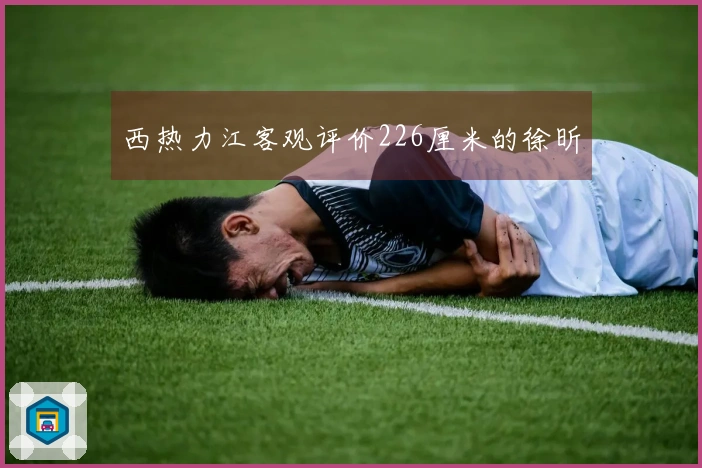 西热力江客观评价226厘米的徐昕