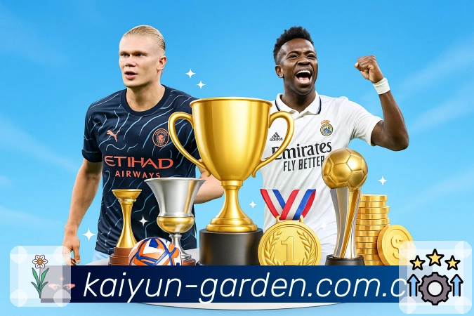 开云平台展示图